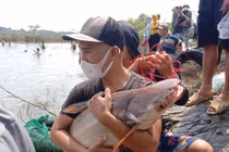Hàng trăm người dân đổ xô về thuỷ điện Trị An bắt cá khủng kiếm tiền triệu