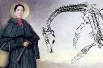 Chuyện về nhà cổ sinh vật học nữ đầu tiên trong lịch sử