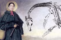 Chuyện về nhà cổ sinh vật học nữ đầu tiên trong lịch sử