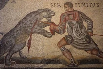 View - Võ sĩ Gen Z gây sốt với visual "tuyệt đối điện ảnh" | Báo Tri thức và Cuộc sống - TIN TỨC PHỔ BIẾN KIẾN THỨC 24H