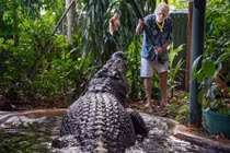 Cá sấu nuôi nhốt thọ nhất thế giới, chết khi hơn 120 tuổi