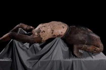 Bí ẩn bức tượng đất nung có tư thế “lạ” trong mộ Tần Thủy Hoàng