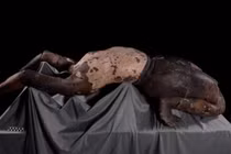 Bí ẩn bức tượng đất nung có tư thế “lạ” trong mộ Tần Thủy Hoàng