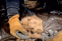 Bí ẩn bộ xương chôn bên dưới nhà “cánh tay phải” của Hitler