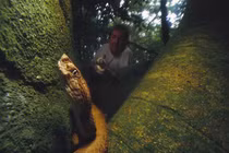 Đảo nguy hiểm nhất thế giới là “nhà” của loài rắn cực độc nào?