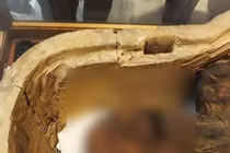 Sự thật đáng sợ về xác ướp la hét của hoàng tử, công chúa Ai Cập