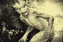 Rùng rợn những sinh vật bí ẩn gây tò mò nhất thế giới