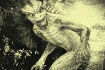 Rùng rợn những sinh vật bí ẩn gây tò mò nhất thế giới