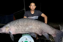 Kinh ngạc loạt quái ngư khủng sa lưới ngư dân Việt năm 2023