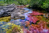 Bí ẩn dòng sông ngũ sắc khiến con người “mê như điếu đổ“