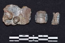 Sốc nặng sự thật về 30 tấm bia khắc lời nguyền ở Hy Lạp