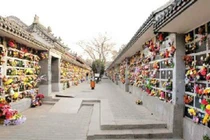 Nghĩa trang chôn cất lãnh đạo Trung Quốc ẩn giấu bí mật gì? 