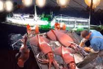 Con tàu lớn bỗng bật đèn sáng choang rồi thả cầu nâng: Kết quả ấn tượng!