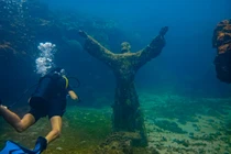 Độc đáo 'rừng tượng' ẩn mình dưới đại dương