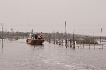 Con sông đặc biệt của Việt Nam, độc nhất vô nhị trên thế giới