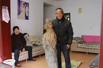 Đào được 'báu vật' gần 100 kg, lão nông chớp mắt đổi đời