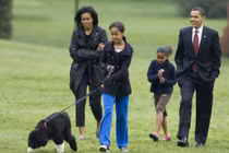 Tiết lộ thú cưng được các Tổng thống Mỹ "sủng" nhất trong Nhà Trắng