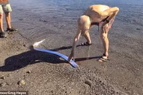 "Quái ngư tận thế" bất ngờ dạt vào bờ biển, dân ào ào tới xem 