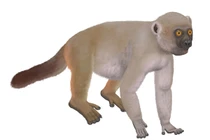 Phát hiện quái vật đã tuyệt chủng: Nhiều điểm y chang loài người! 