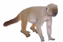 Phát hiện quái vật đã tuyệt chủng: Nhiều điểm y chang loài người! 