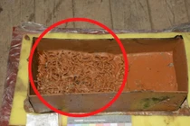 Mở lăng mộ bị ngấm nước, chuyên gia ngã quỵ thấy "thứ ngàn vàng"