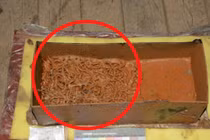 Mở lăng mộ bị ngấm nước, chuyên gia ngã quỵ thấy "thứ ngàn vàng"