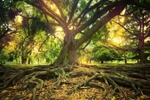 Giật mình "thủ phạm" gây ra nhiều cuộc đại tuyệt chủng trên Trái đất 