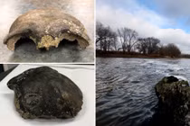 Tìm thấy hộp sọ 8.000 tuổi, kinh ngạc nhận ra sự thật bất ngờ 