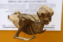 Sự thật quá sốc về "nàng tiên cá dị hình" nổi tiếng khắp TG 