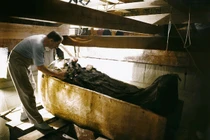 Ảnh ít biết bên trong lăng mộ chất đầy báu vật của pharaoh Tutankhamun