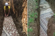 Bên dưới vườn nho ở Itlay lộ “báu vật” của đế chế La Mã