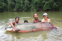 Những thủy quái sông Amazon hung dữ nhất thế giới