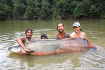 Những thủy quái sông Amazon hung dữ nhất thế giới