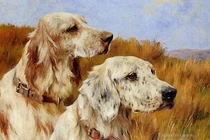 Dự đoán ngày mới 14/8/2024 cho 12 con giáp: Dần thận trọng, Tuất sung túc