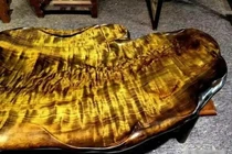 Loại gỗ quý hơn vàng nhưng không ai muốn trồng, bất ngờ lý do