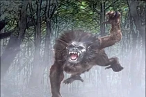 Sự thật bất ngờ về sinh vật tàn ác, gây ám ảnh cả châu Mỹ