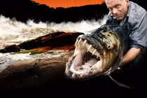 Sự thật chấn động về thuỷ quái khổng lồ ẩn mình dưới sông Amazon 