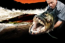 Sự thật chấn động về thuỷ quái khổng lồ ẩn mình dưới sông Amazon 