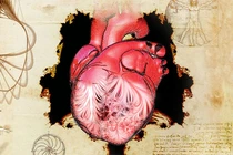 Giải mã bí ẩn bản phác thảo trái tim người của Leonardo da Vinci