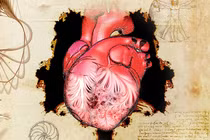 Giải mã bí ẩn bản phác thảo trái tim người của Leonardo da Vinci