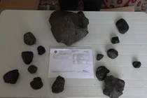 Đi hái nấm, bất ngờ nhặt được 'báu vật' Trời ban