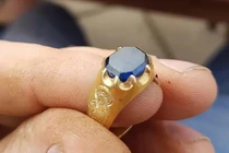 Dò kim loại trong rừng, bất ngờ tìm thấy 'báu vật' tiền tỷ