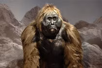 Top 8 sinh vật huyền thoại ẩn náu trong nỗi sợ của con người