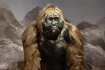 Top 8 sinh vật huyền thoại ẩn náu trong nỗi sợ của con người