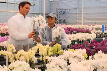 Báo Anh tiết lộ nơi ở của tỷ phú Jack Ma