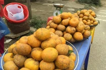 Quýt hôi kết hợp với giun đốt thành món ngon thần thánh tiến vua 