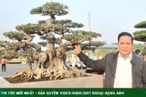 3 cổ vật trị giá hàng chục tỷ đồng của đại gia Hải Dương