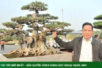 3 cổ vật trị giá hàng chục tỷ đồng của đại gia Hải Dương