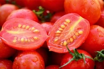 Cà chua vào mùa vừa rẻ vừa ngon nhưng đừng mắc sai lầm này