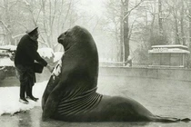 Ảnh đắt giá nhất lịch sử, cực khó tin nhưng có thật 